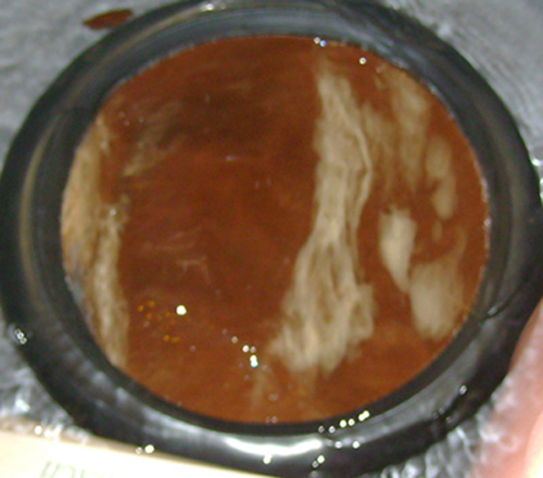 Nov4-rp-4-crop-hl-small.jpg
