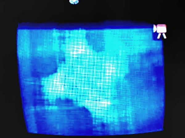 állat, nagyban1a.jpg