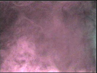 Smoke_14 (2).jpg