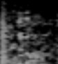 fd64.jpg