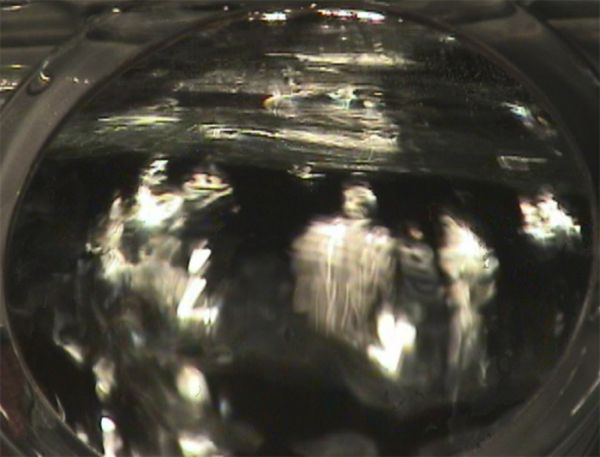 Mar10 oh2 24sec group-crop-hl.jpg