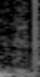 StreamImage4-March4-09.jpg