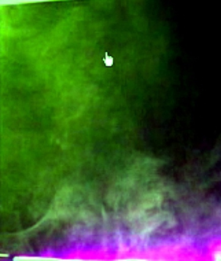 test_19 (2).jpg
