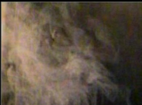 test_33 (2).jpg