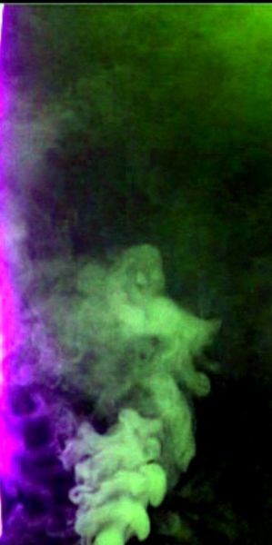 test_38 (2).jpg