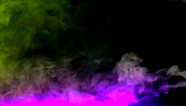 smoke204 goose 03-21.jpg