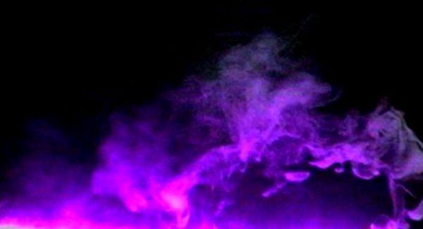 smoke184 dog  03-21.jpg
