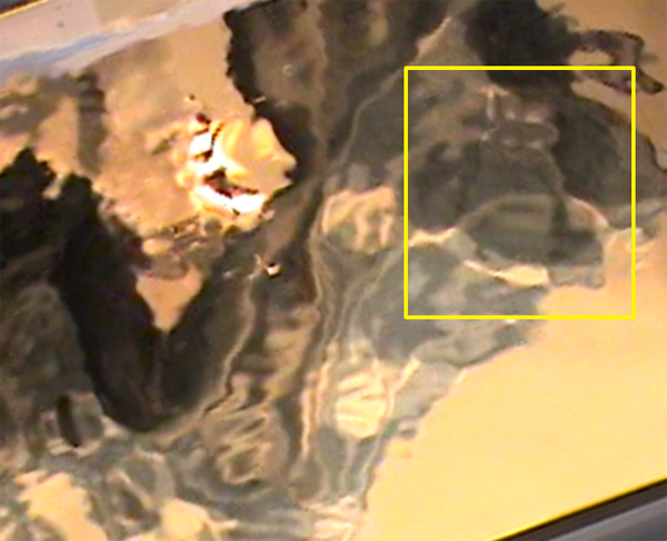 Mar17 rp 4sec surfboard-crop-hl.jpg