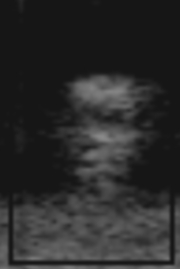 4-19-09-1-Isolated.jpg
