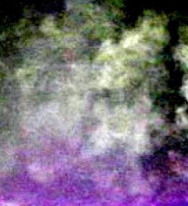 MyFog_4Post.jpg