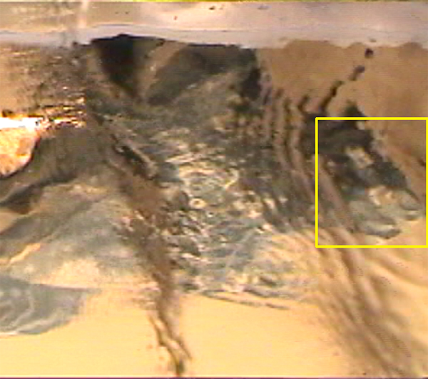 Mar17 rp 3sec man bushy hair coat-crop-hl.jpg