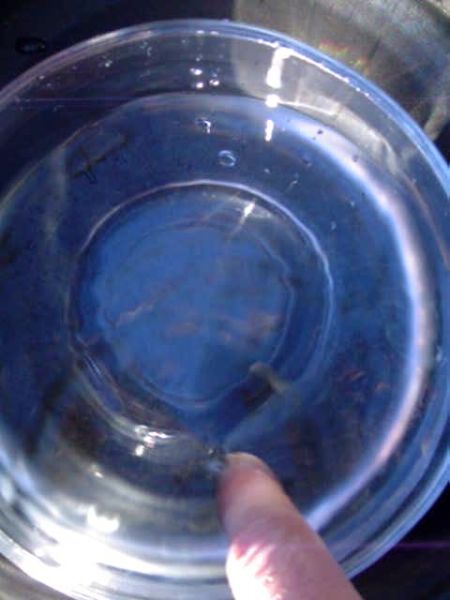 Sep29_graves 068.jpg