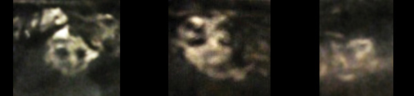 image1.jpg