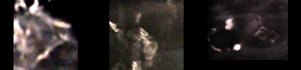 image2.jpg