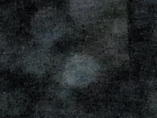 P9061766.JPG