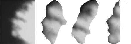 Apr8 vitc morphing sample.jpg