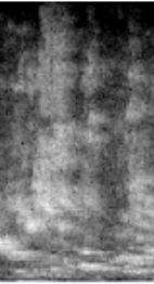 20120525_2123.jpg