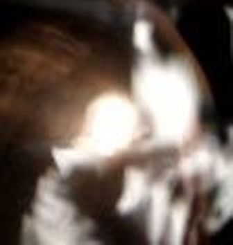 woman pouring liquid from a flask or an urn.jpg