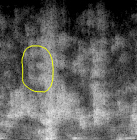 Jun17 large-crop2.jpg