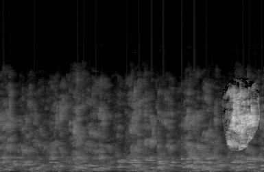 June 24 spec2 large-edit.jpg