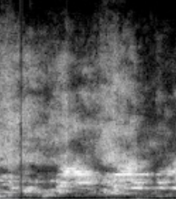 stream 06_30_2012 6 (mustachioed man others).jpg