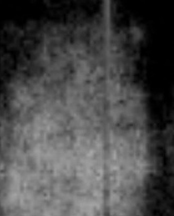 stream 06_30_2012 8 (spirit team member others).jpg