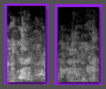 Big Face Comparison 2.jpg