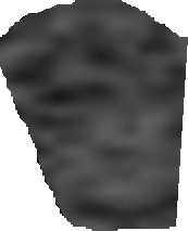 rostot.jpg