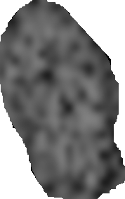 face23.bmp