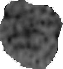 face24.bmp