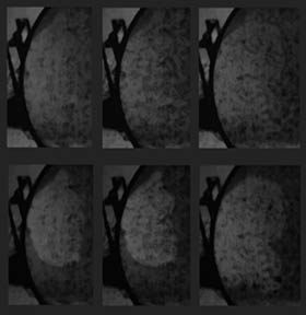 uvs130213 (mirror session 1) (web).jpg