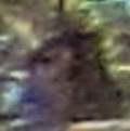 280.jpg