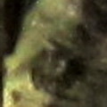 398-2.jpg
