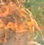 571.jpg