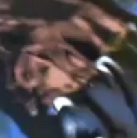 165.png