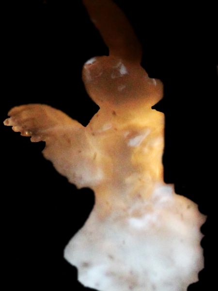 2014 October Water Face 08 Ballerina OUTLINED.JPG