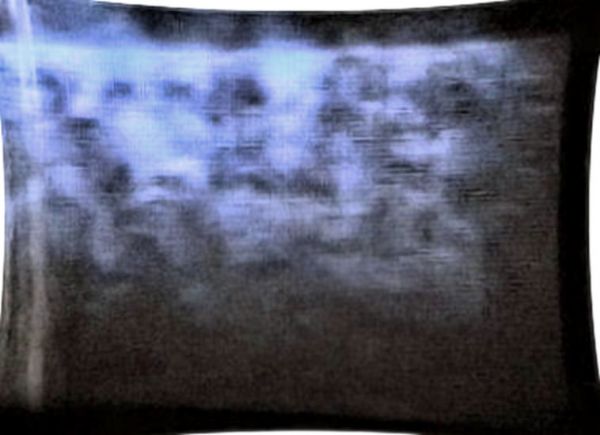 031.jpg