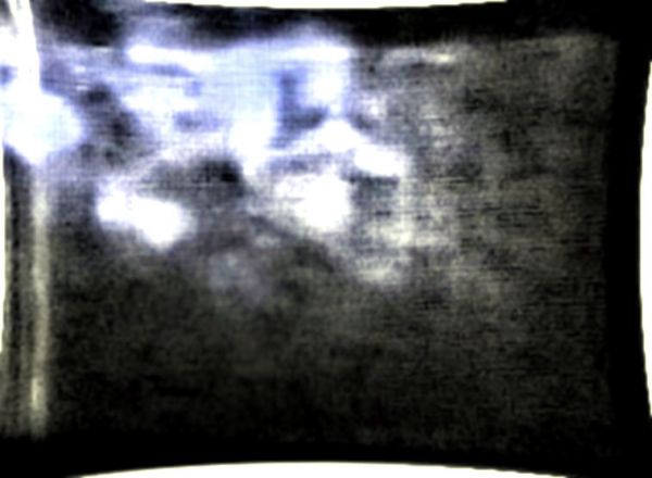037.jpg