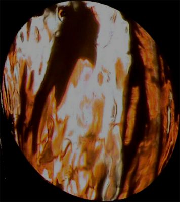 Jan14 mix 37sec multiple-crop-hl.jpg