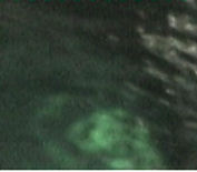 A18029.jpg