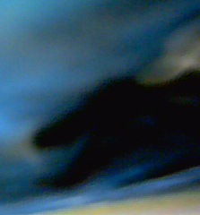 bild0738.jpg