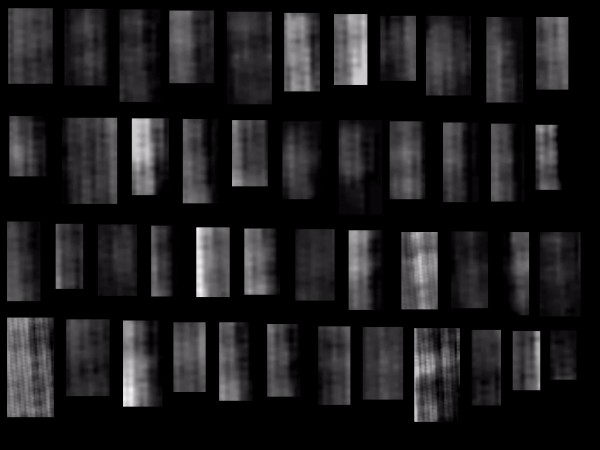 Blatt2.png